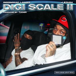Album cover of Digi Scale 2