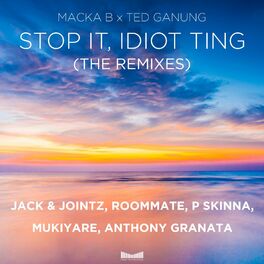 Album cover of Stop It, Idiot Ting (The Remixes)
