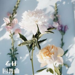 Album cover of 春日圆舞曲