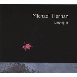 Album cover of Jumping In