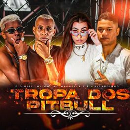 Album cover of Tropa dos Pitbull