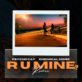 Album cover of R U Mine? (Remix)