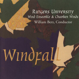 Album cover of Windfall