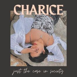 Album cover of just the case in society