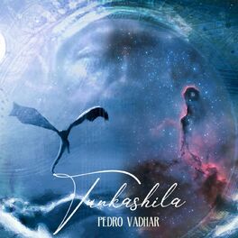 Album cover of Tunkashila