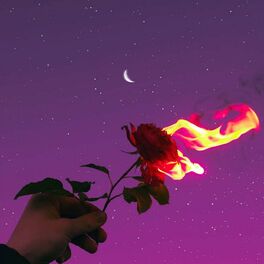 Album cover of Dark Feelings