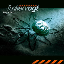 Album cover of Survivor