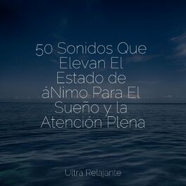 Album cover of 50 Sonidos Que Elevan El Estado de áNimo Para El Sueño y la Atención Plena