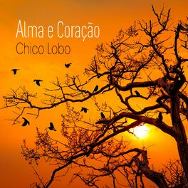 Album picture of Alma e Coração
