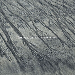 Album cover of Tender Extinction