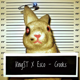 Album cover of Crooks