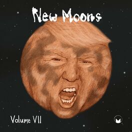 Album cover of New Moons, Vol. VII