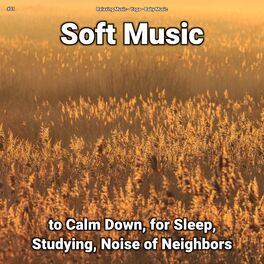 Album cover of #01 Soft Music to Calm Down, for Sleep, Studying, Noise of Neighbors