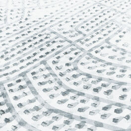 Album cover of The experience of repetition as death