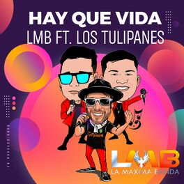 Album cover of Hay que vida