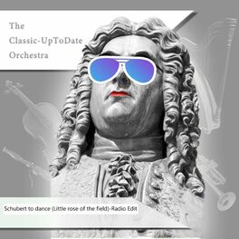 Album cover of Schubert to dance (Little rose of the field) (Radio Edit)