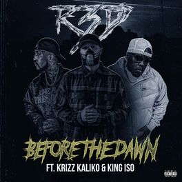 Album cover of Before The Dawn