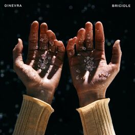 Album cover of BRICIOLE
