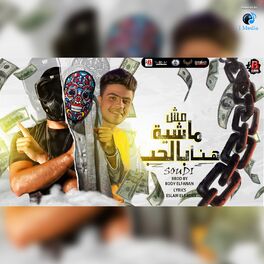 Album cover of مش ماشية هنا بالحب