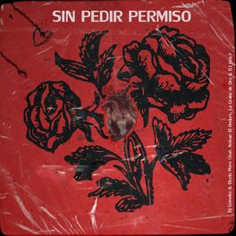 Album cover of Sin Pedir Permiso
