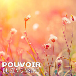 Album cover of Pouvoir du zen ginseng - Musique naturelle relaxante et guérissante, L'énergie ayurvédique et reiki, État d'esprit sain et corps