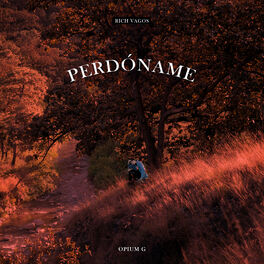 Album cover of Perdóname