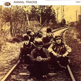 Album cover of Animal Tracks
