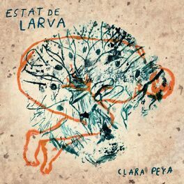 Album cover of Estat de Larva
