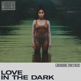 Album cover of LOVE IN THE DARK