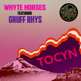 Album cover of Tocyn