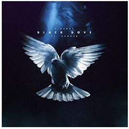 Album cover of Black Dove