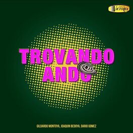 Album cover of Trovando Ando