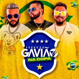 Album cover of Forró du Gavião na Copa