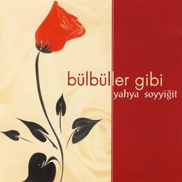 Album cover of Bülbüller Gibi