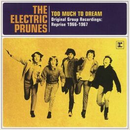 Album cover of Too Much To Dream - Original Group Recordings: Reprise 1966-1967