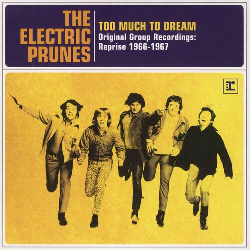 The Electric Prunes Too Much To Dream Original Group Recordings