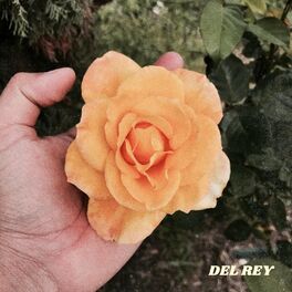 Album cover of Del Rey