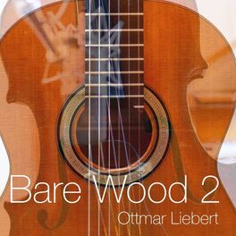 Album cover of Bare Wood 2