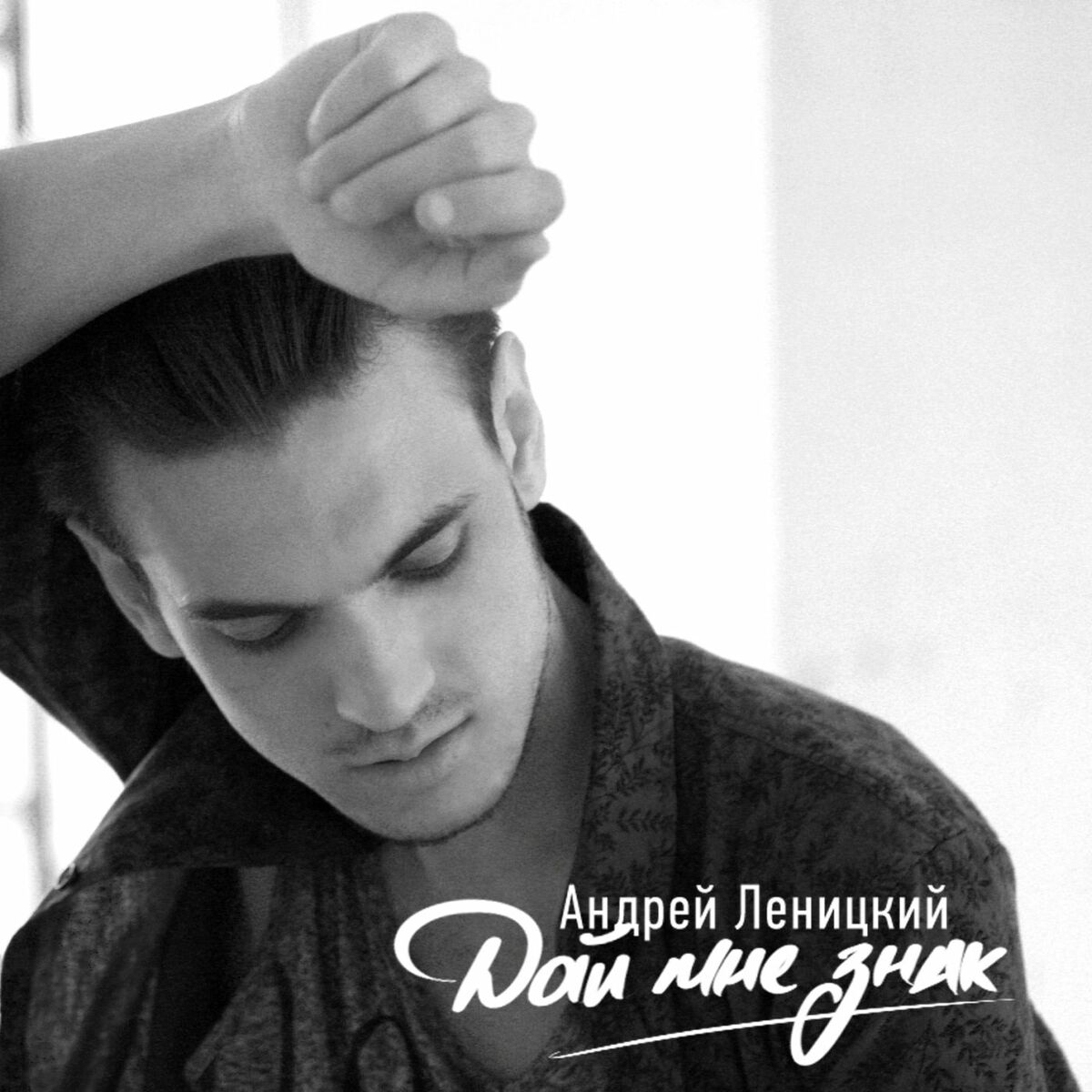 Андрей Леницкий: альбомы, песни, плейлисты | Слушайте на Deezer