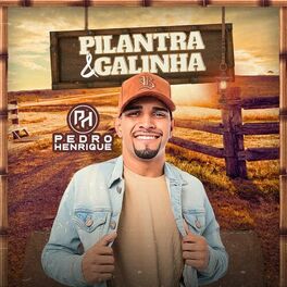 Album cover of Pilantra e Galinha