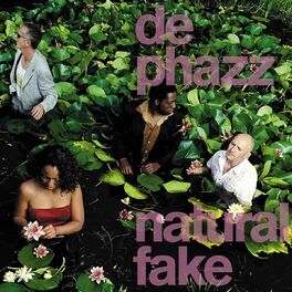 Album cover of Natural Fake