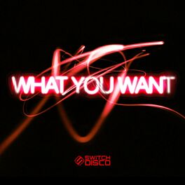 Album cover of WHAT YOU WANT