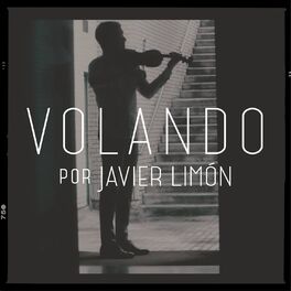 Album cover of Volando