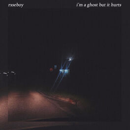 Album cover of i'm a ghost but it hurts