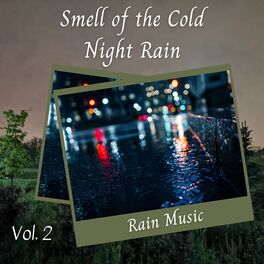 Album cover of Rain Music: Smell of the Cold Night Rain Vol. 2