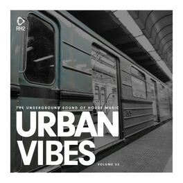Album cover of Urban Vibes, Vol. 53