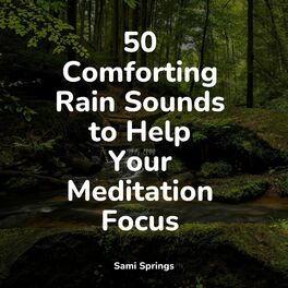 Album cover of 50 Comforting Rain Sounds to Help Your Meditation Focus