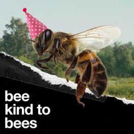Album cover of Bee Kind to Bees