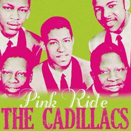 Album cover of Pink Ride