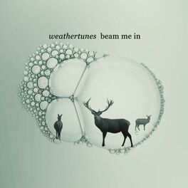 Album cover of Beam Me In